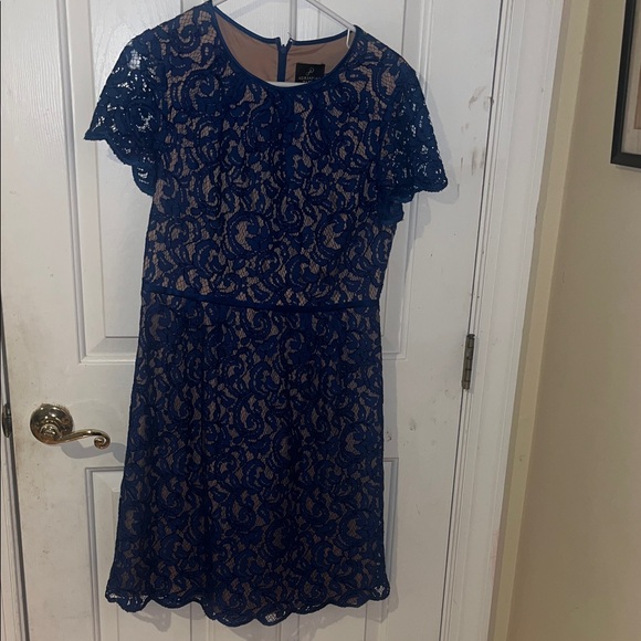 Adrianna Papell Royal Blue Lace Dress - Picture 1 of 9